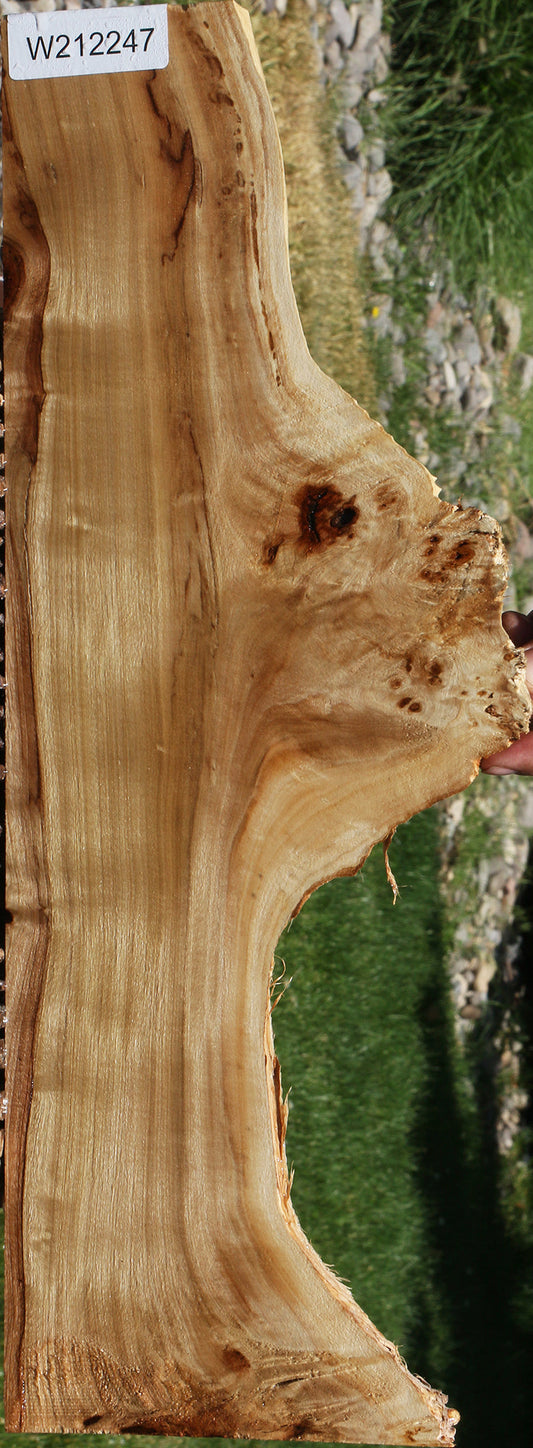 Extra Fancy Mappa Burl Live Edge Lumber