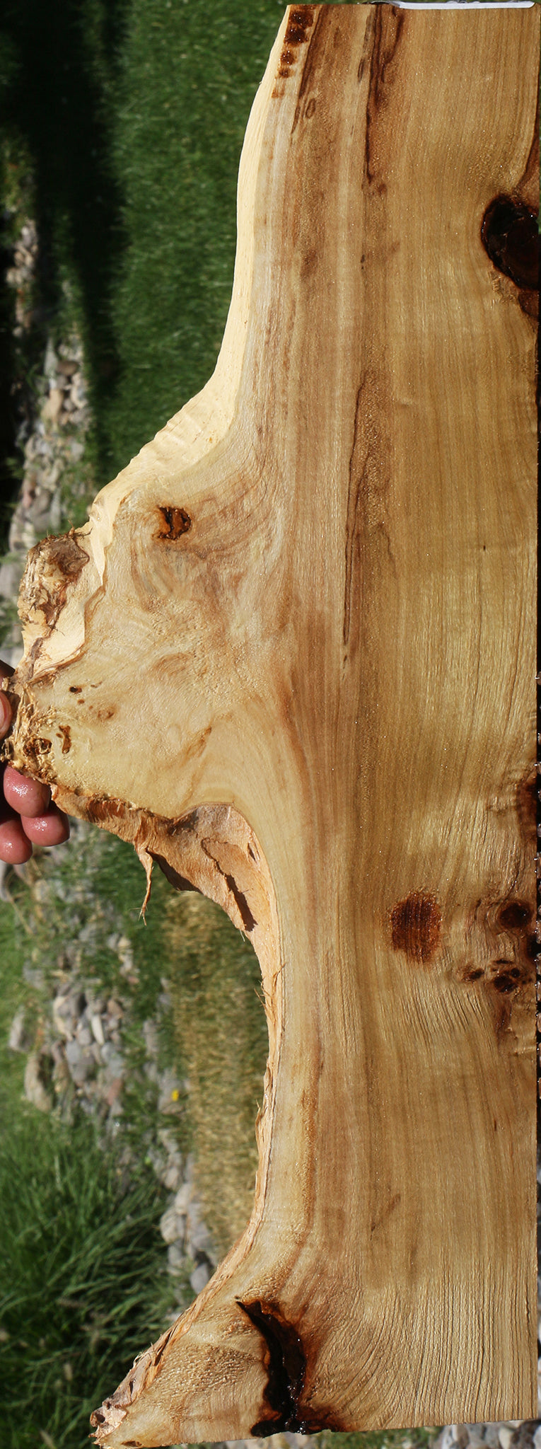 Extra Fancy Mappa Burl Live Edge Lumber