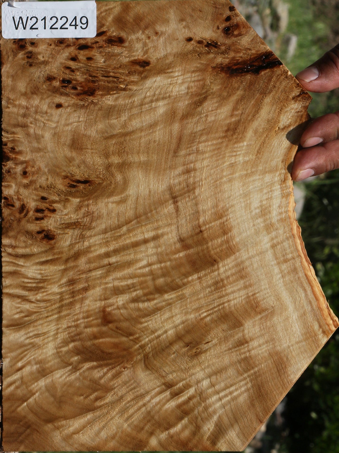 Extra Fancy Mappa Burl Lumber