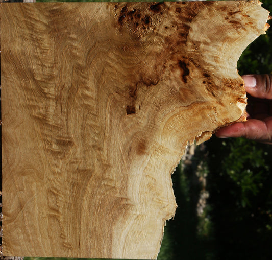 Extra Fancy Mappa Burl Live Edge Lumber