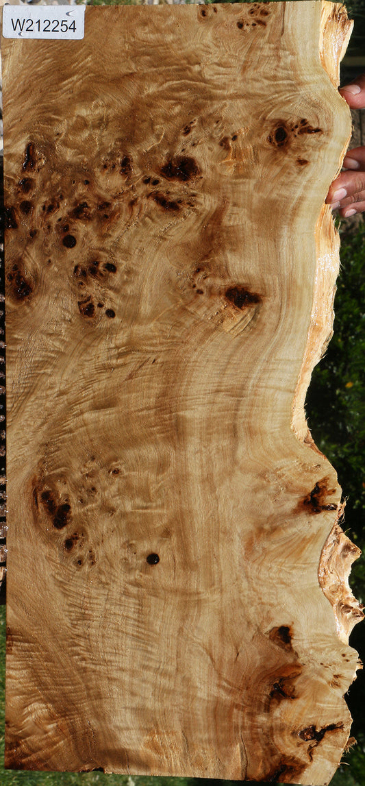 Extra Fancy Mappa Burl Live Edge Lumber