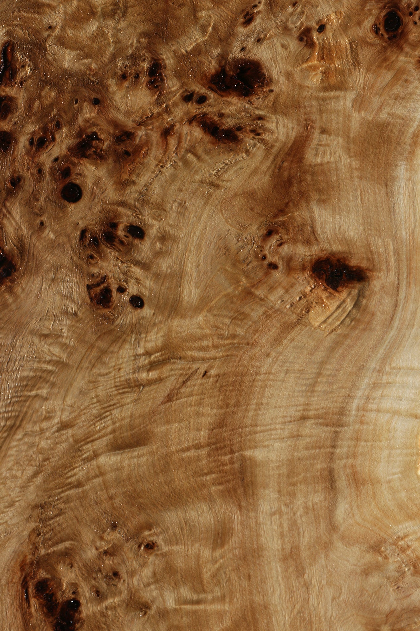 Extra Fancy Mappa Burl Live Edge Lumber