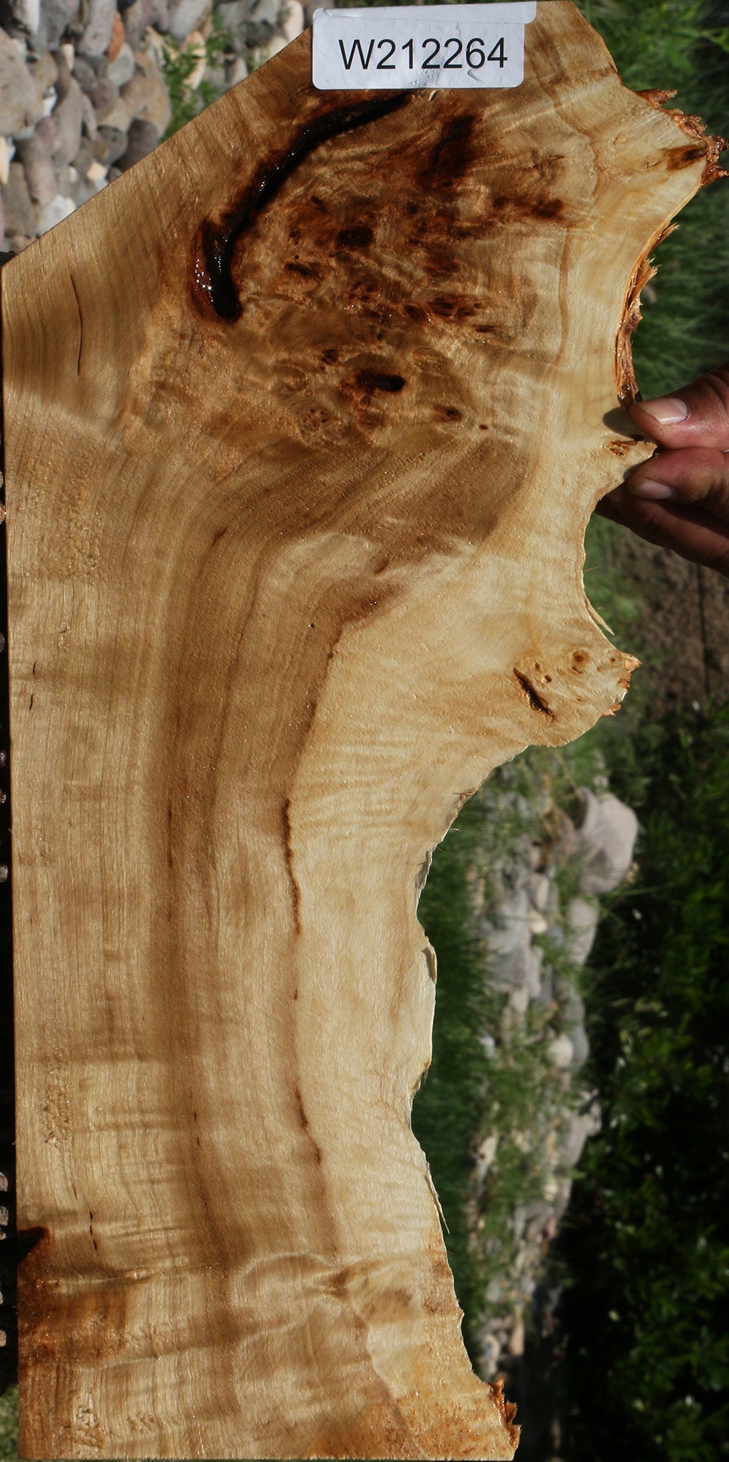 Extra Fancy Mappa Burl Live Edge Lumber