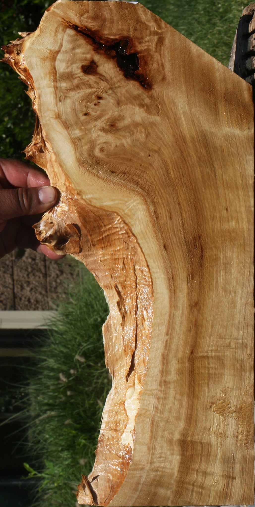 Extra Fancy Mappa Burl Live Edge Lumber