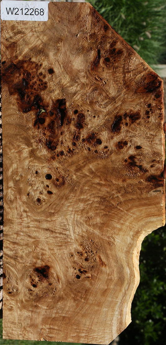 Extra Fancy Mappa Burl Lumber