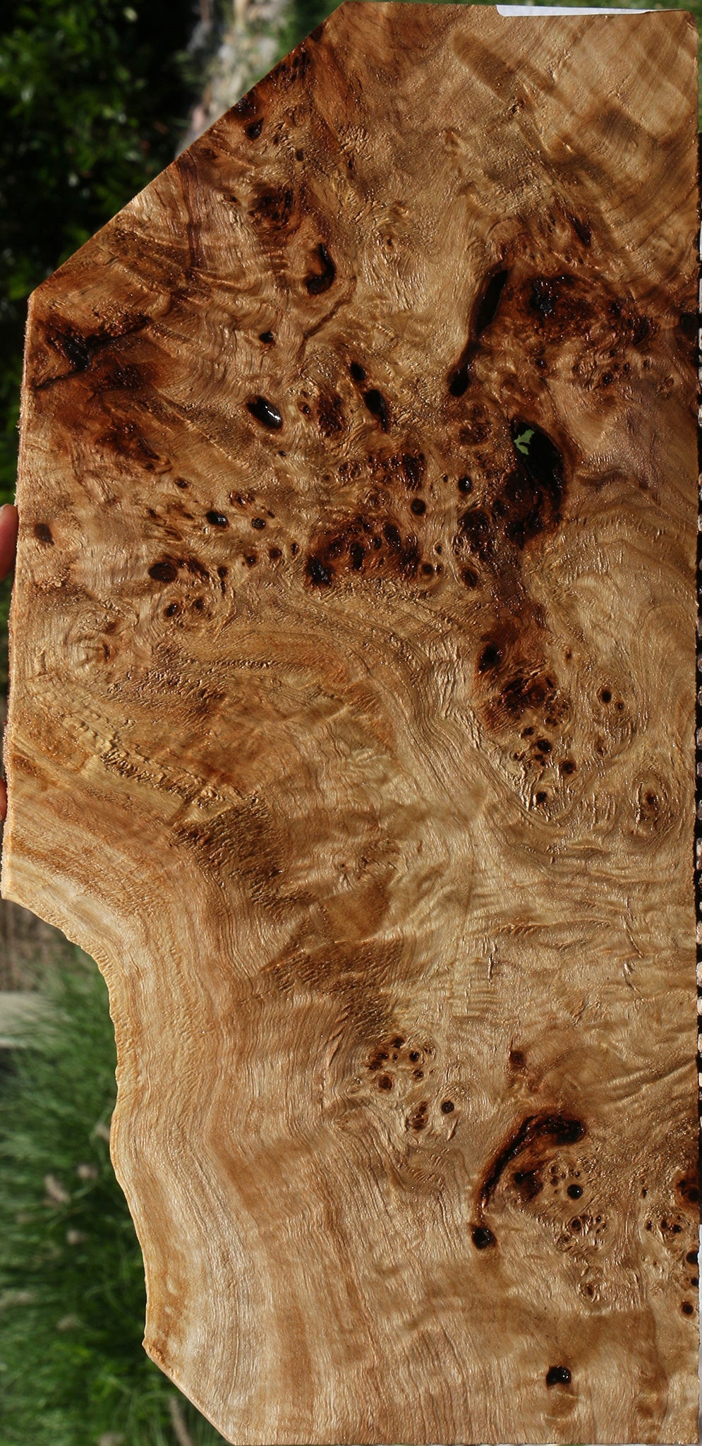 Extra Fancy Mappa Burl Lumber