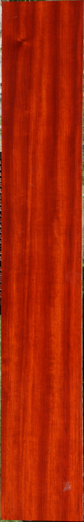 Padauk Lumber