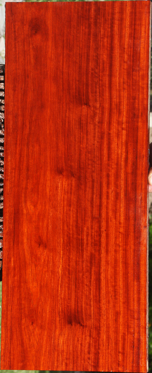 Extra Fancy Padauk Lumber