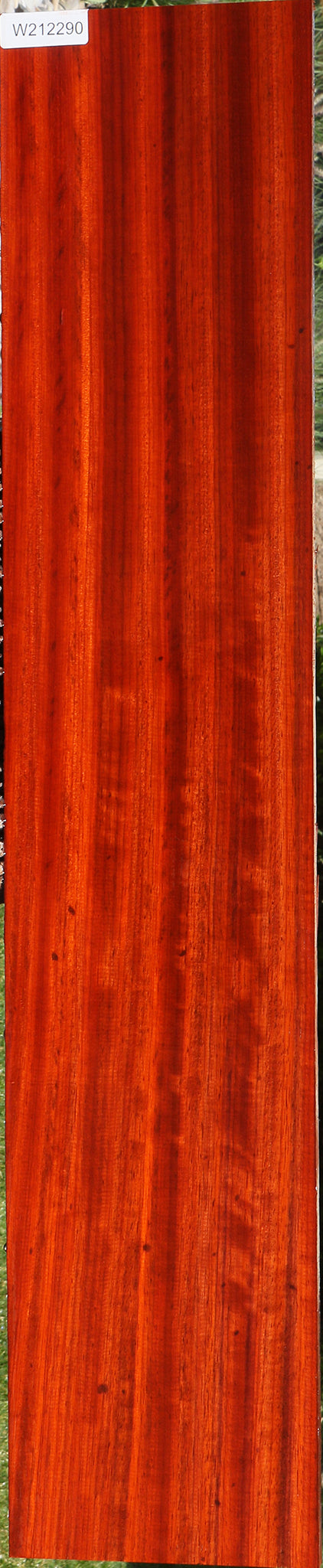 Extra Fancy Padauk Lumber