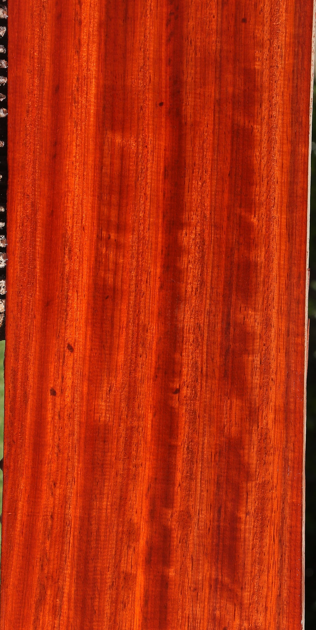 Extra Fancy Padauk Lumber