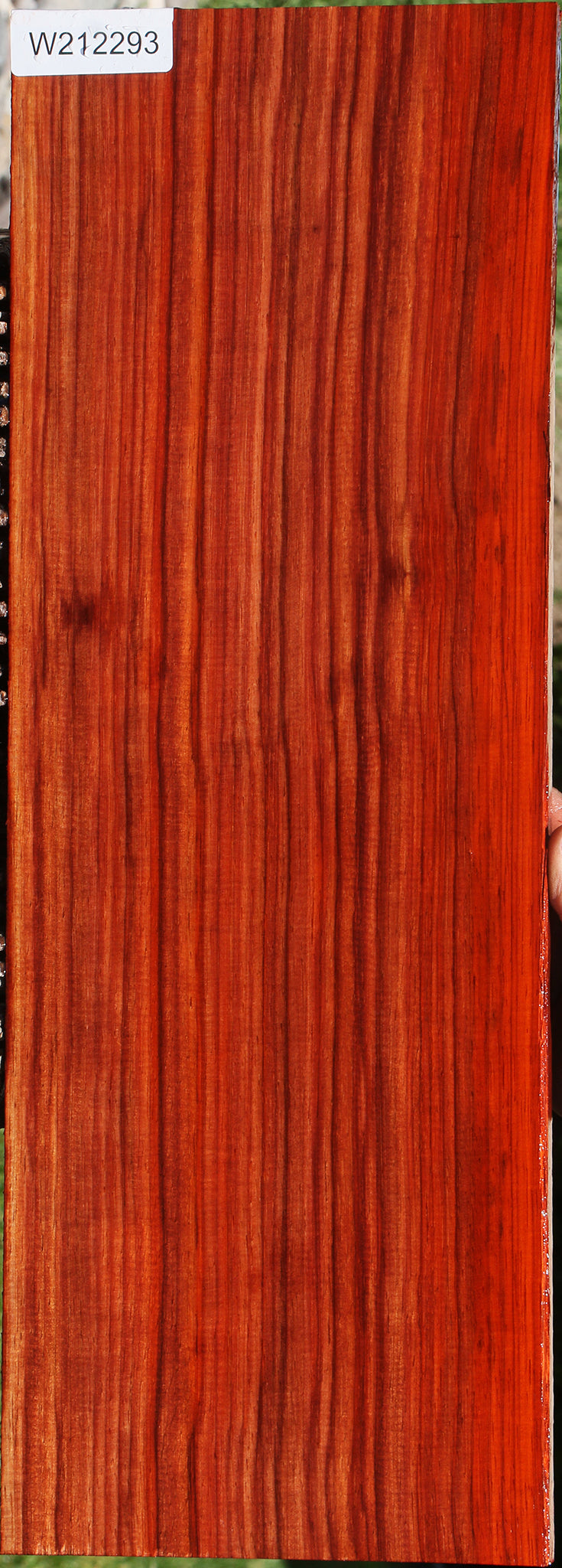 Quartersawn Bacon Padauk Lumber