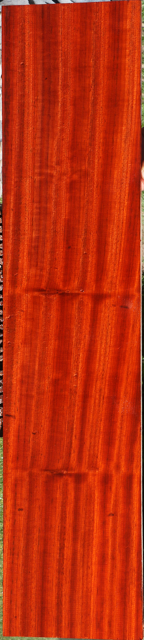 Extra Fancy Padauk Lumber