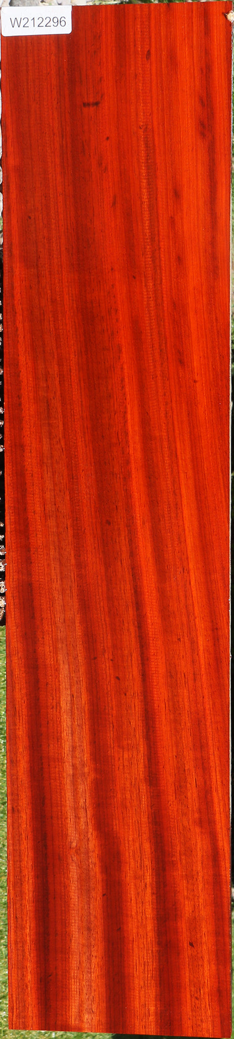 Extra Fancy Padauk Lumber