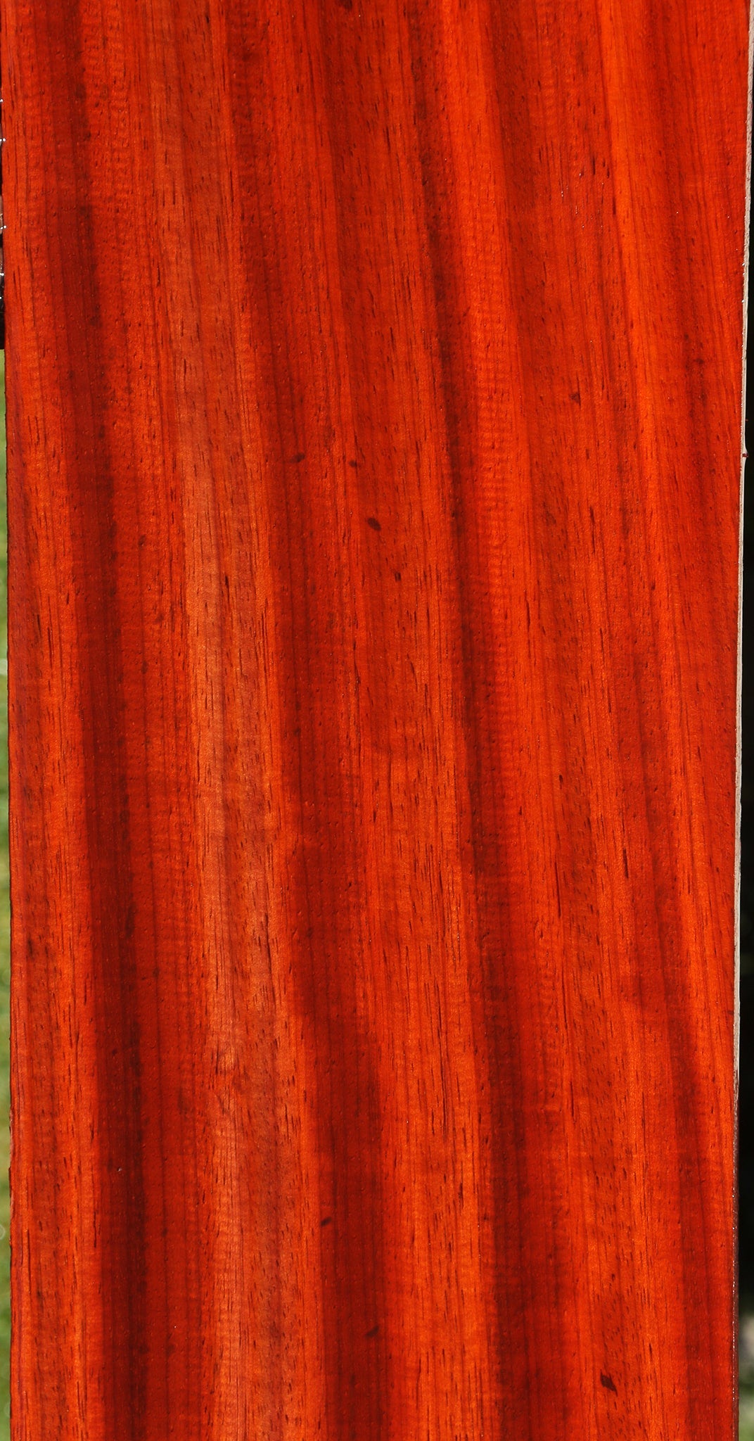 Extra Fancy Padauk Lumber