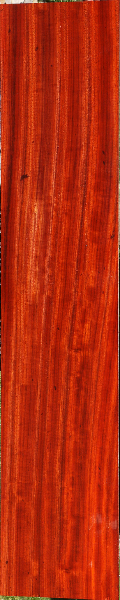 Extra Fancy Padauk Lumber