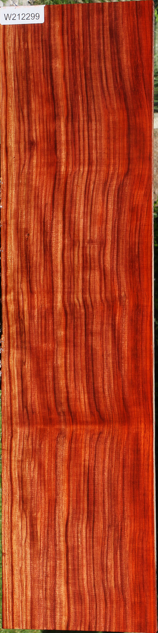 Extra Fancy Quartersawn Bacon Padauk Lumber