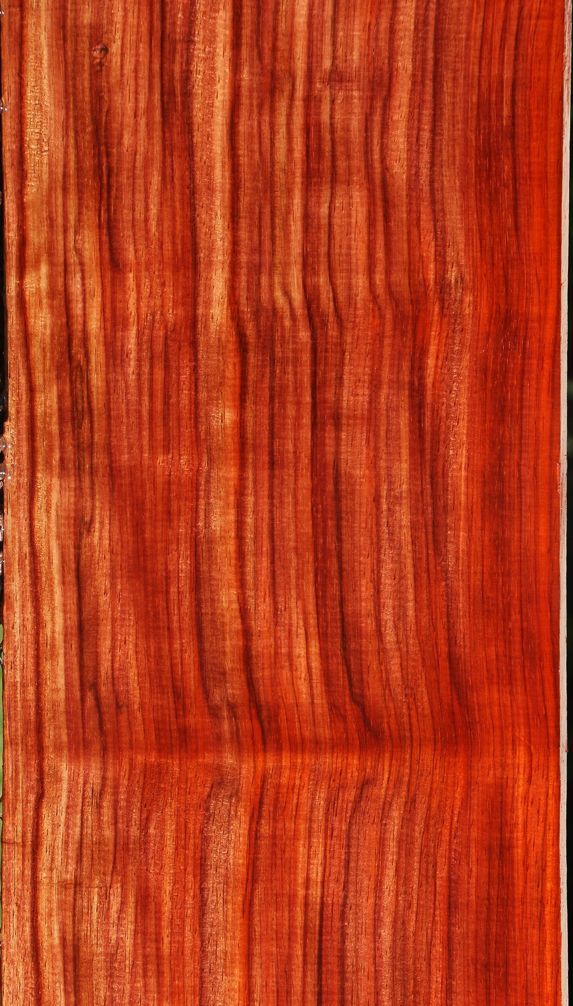 Extra Fancy Quartersawn Bacon Padauk Lumber