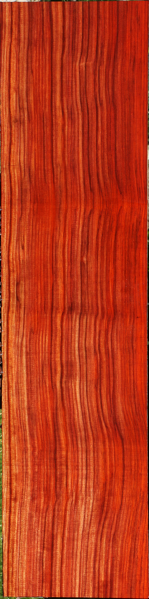 Extra Fancy Quartersawn Bacon Padauk Lumber