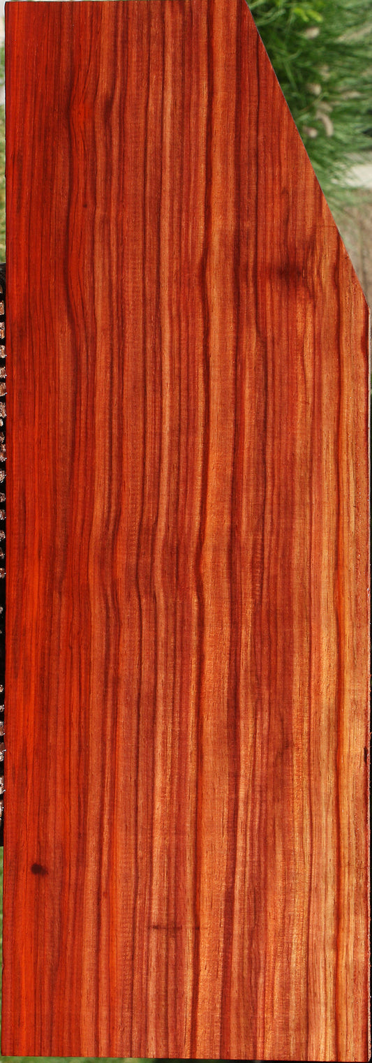 Extra Fancy Quartersawn Bacon Padauk Lumber