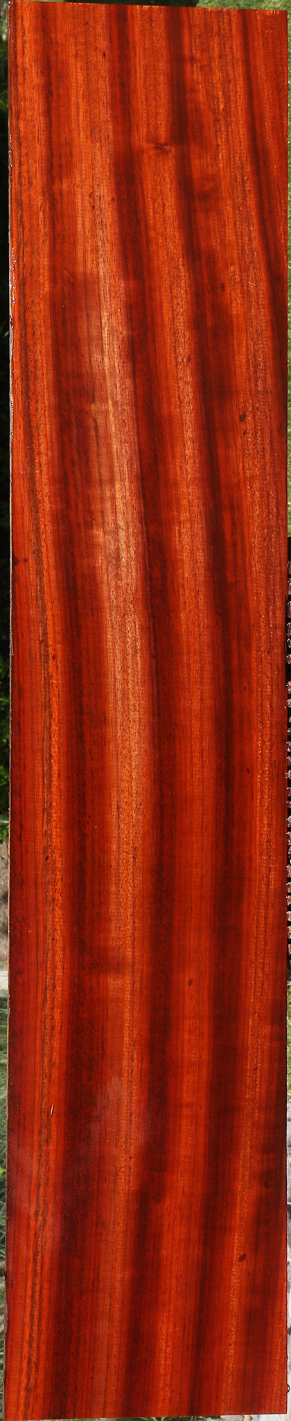 Extra Fancy Padauk Lumber