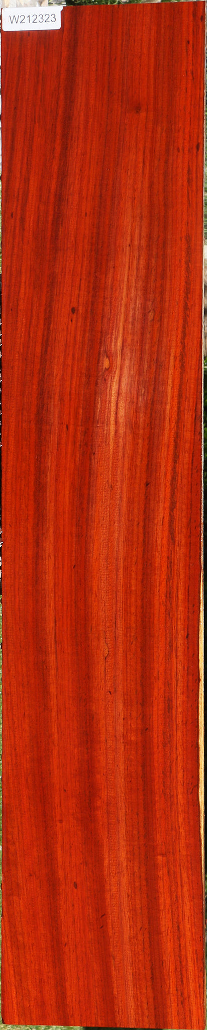 Extra Fancy Padauk Lumber