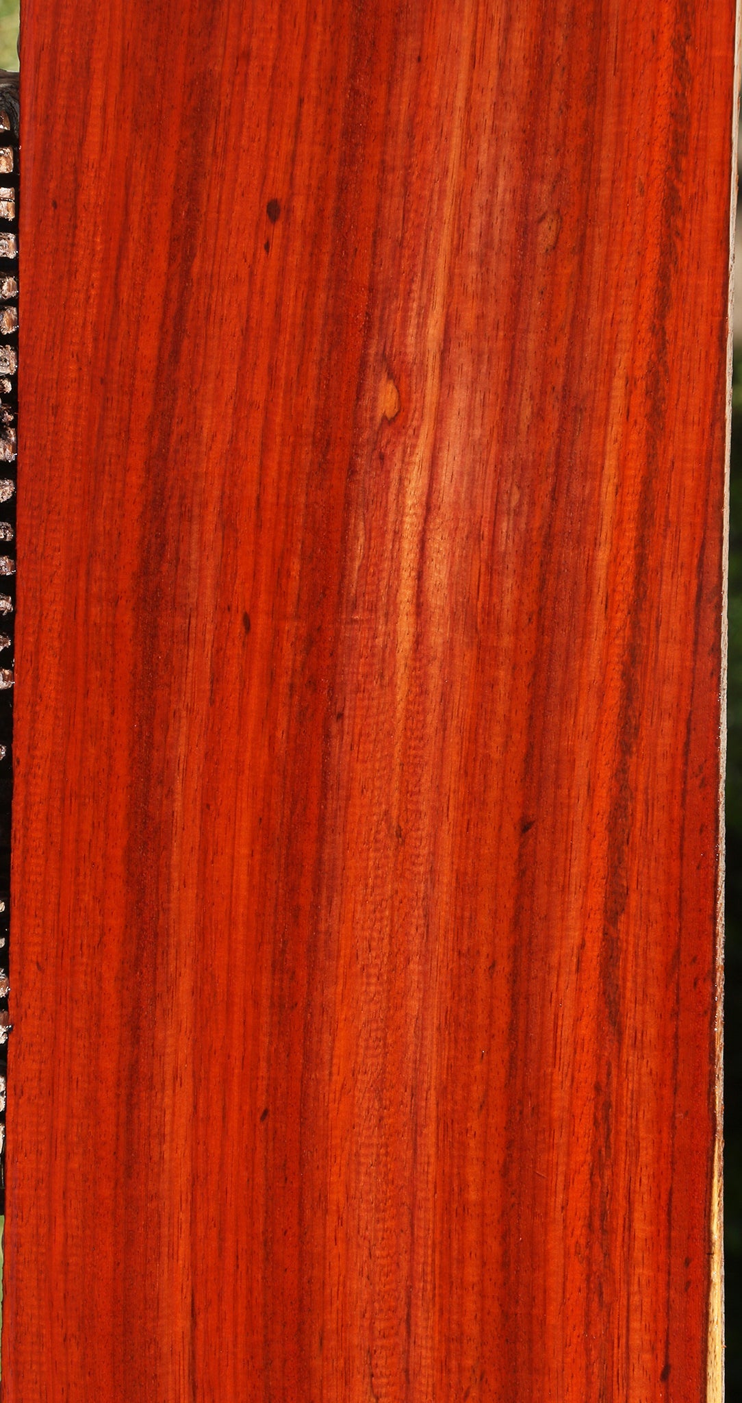 Extra Fancy Padauk Lumber