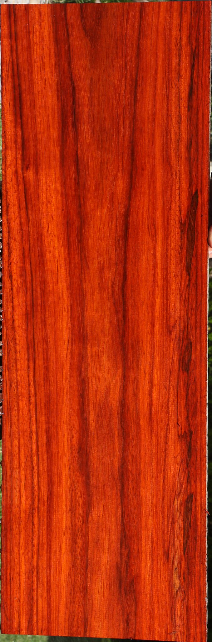 Padauk Lumber