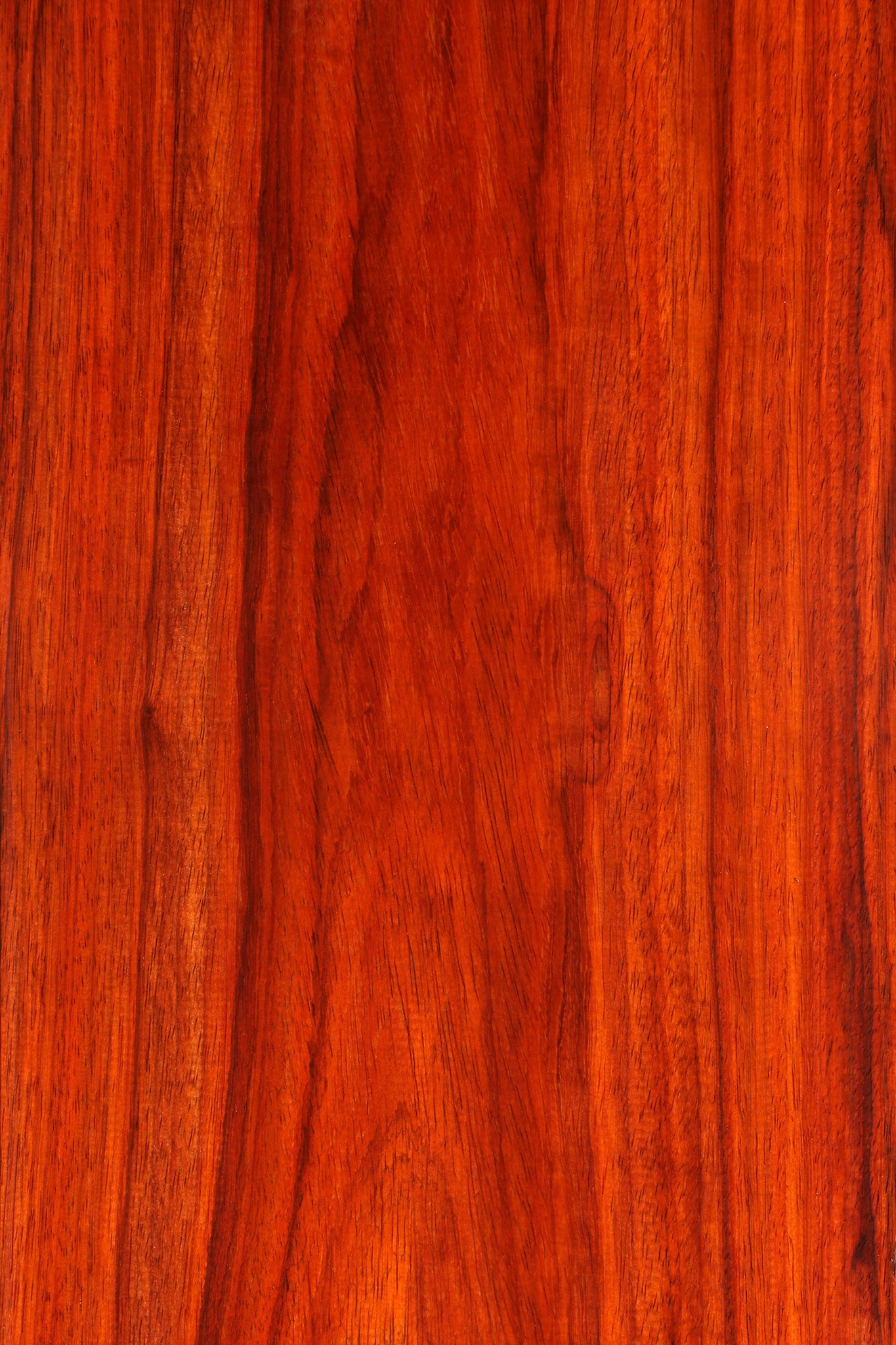 Padauk Lumber