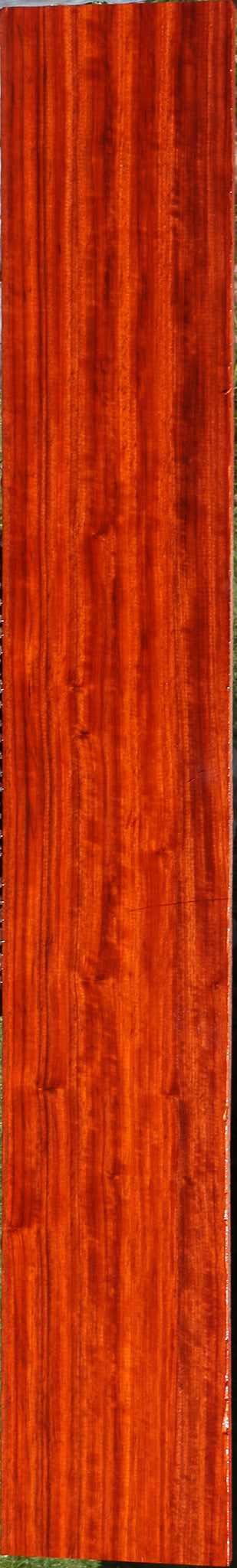 Extra Fancy Padauk Lumber