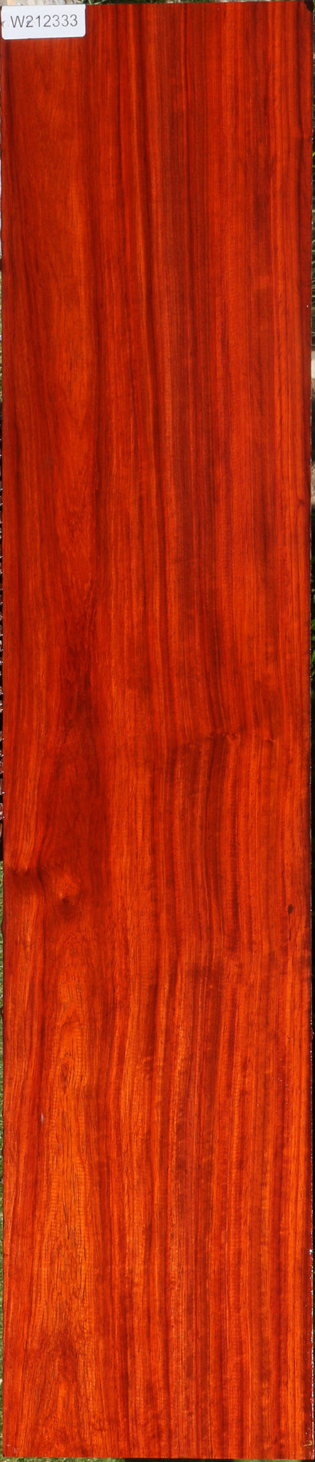 Extra Fancy Padauk Lumber