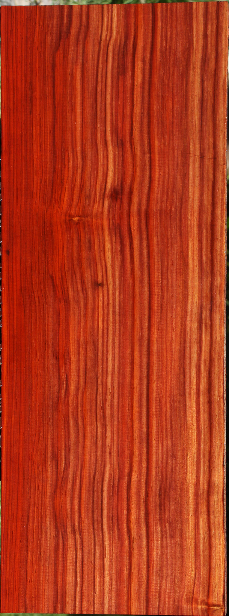 Extra Fancy Bacon Padauk Lumber