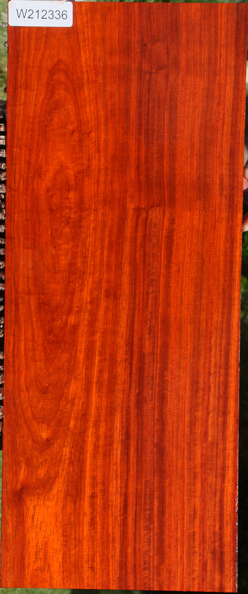 Extra Fancy Padauk Lumber