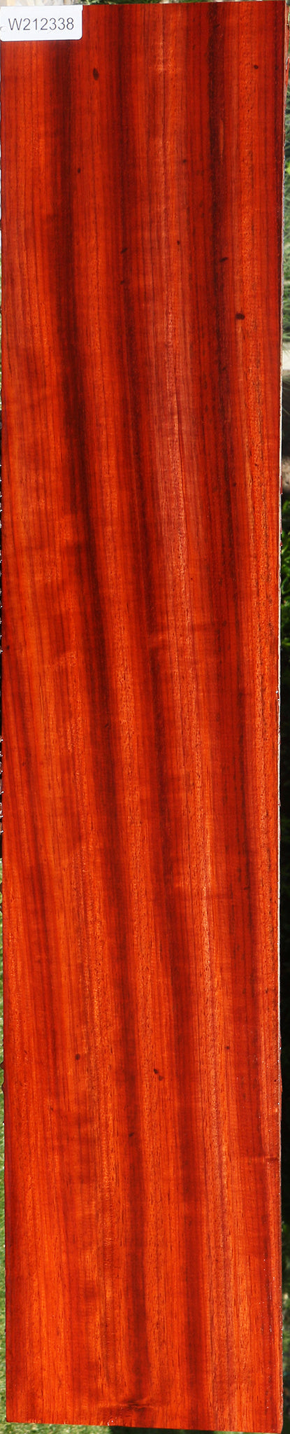 Extra Fancy Padauk Lumber