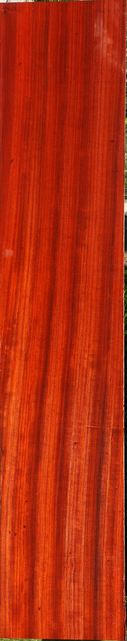 Extra Fancy Padauk Lumber