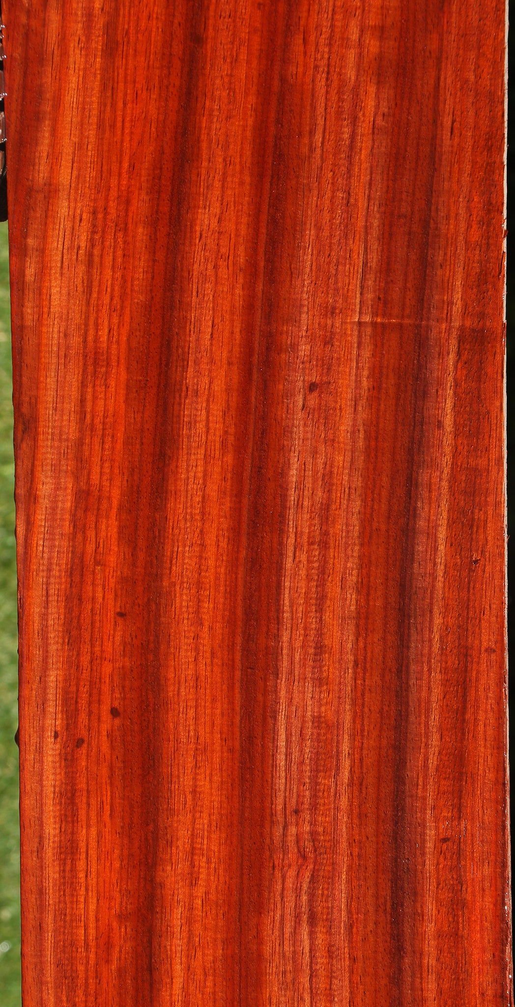 Extra Fancy Padauk Lumber