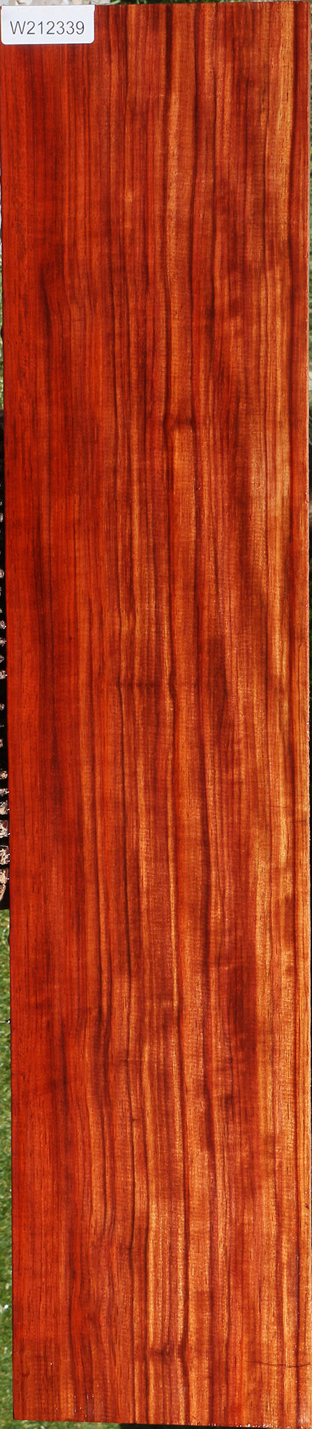 Extra Fancy Bacon Padauk Lumber