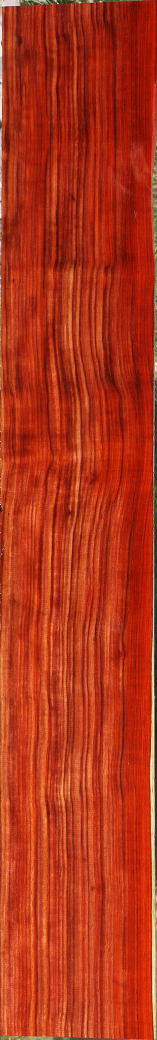 Extra Fancy Quartersawn Bacon Padauk Lumber