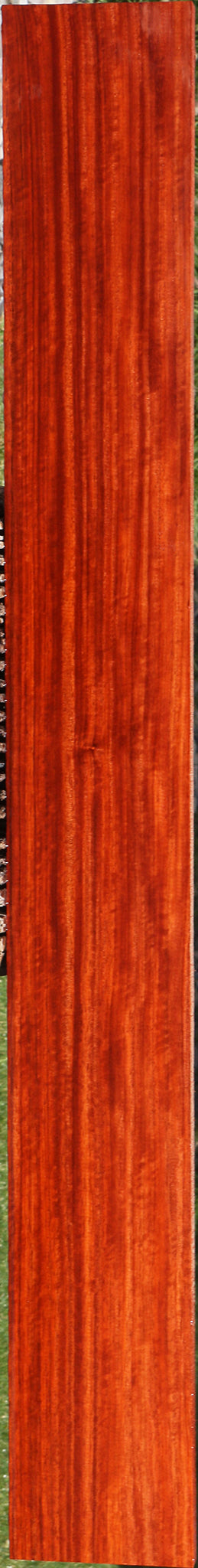 Extra Fancy Padauk Lumber