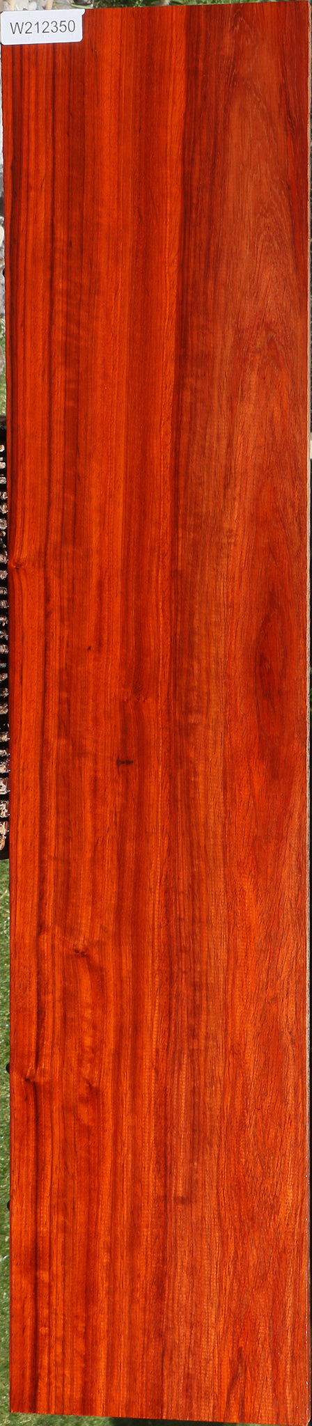 Extra Fancy Padauk Lumber