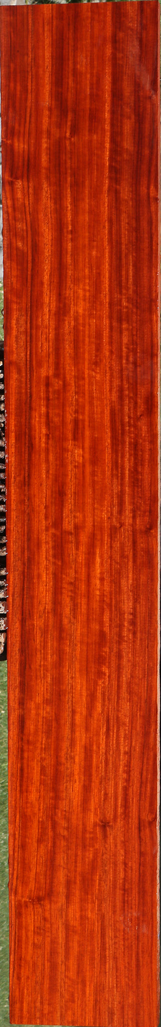 Extra Fancy Padauk Lumber