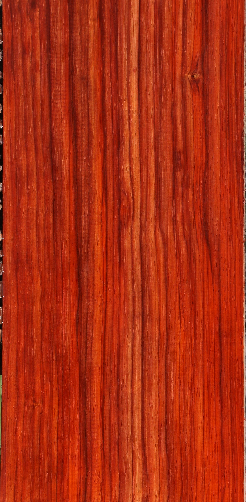 Extra Fancy Bacon Padauk Lumber