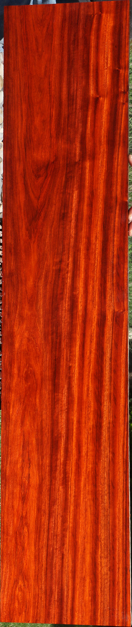 Extra Fancy Padauk Lumber