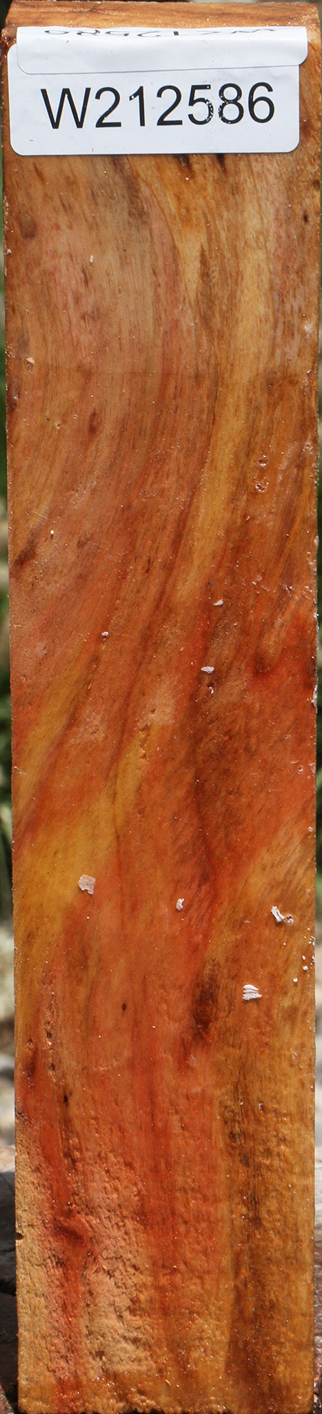 Silver Wattle Turning Square