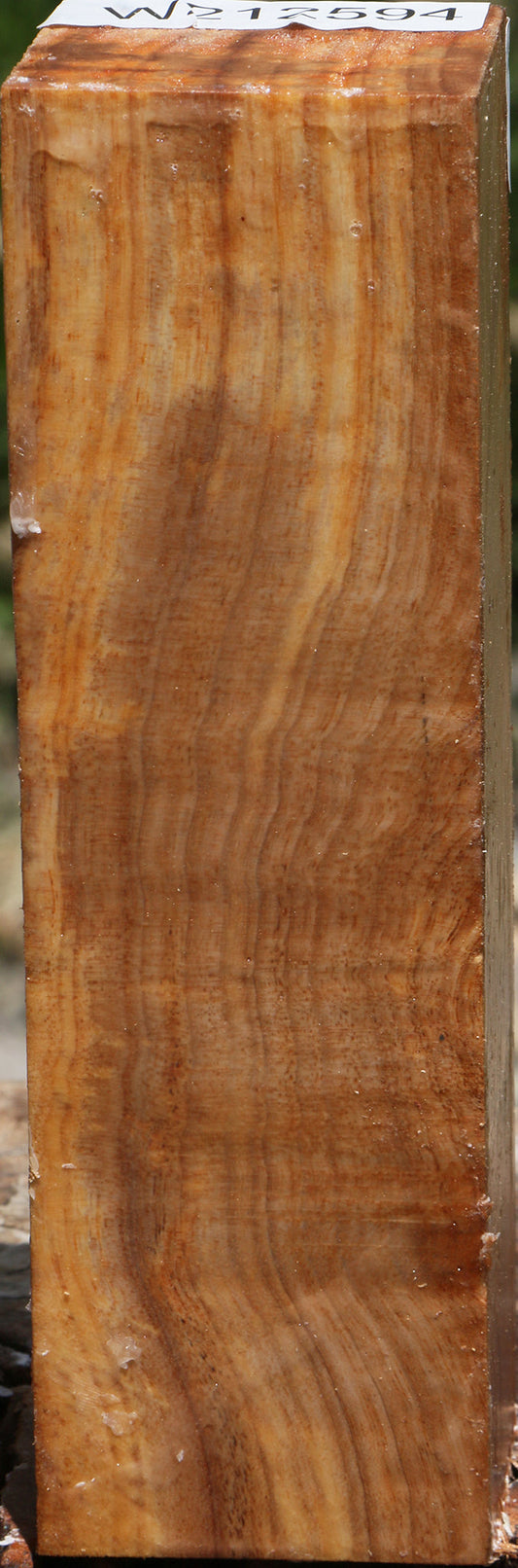 Silver Wattle Turning Square