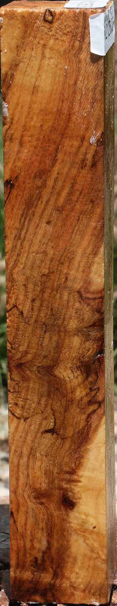 Extra Fancy Silver Wattle Turning Square