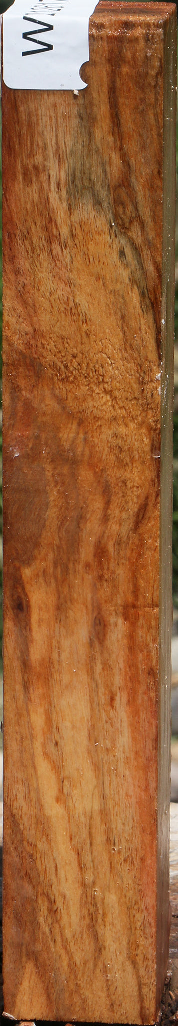 Silver Wattle Turning Square