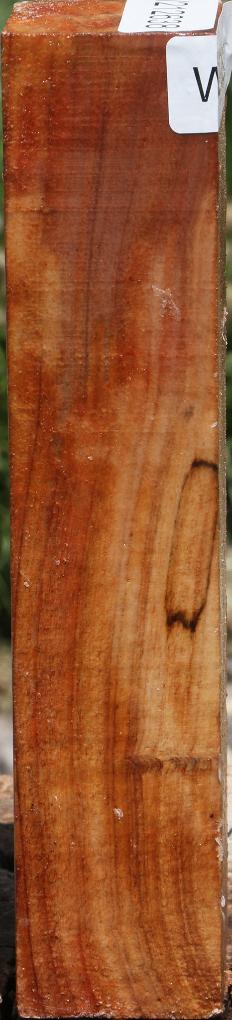 Silver Wattle Turning Square