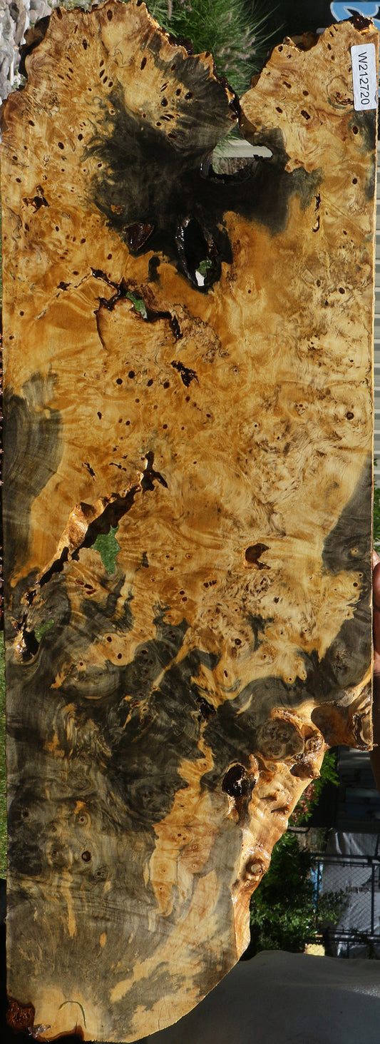 Buckeye Burl Lumber