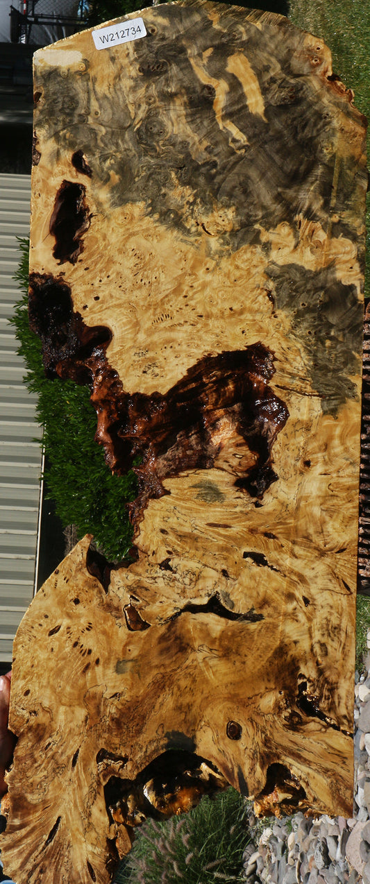 Buckeye Burl Lumber