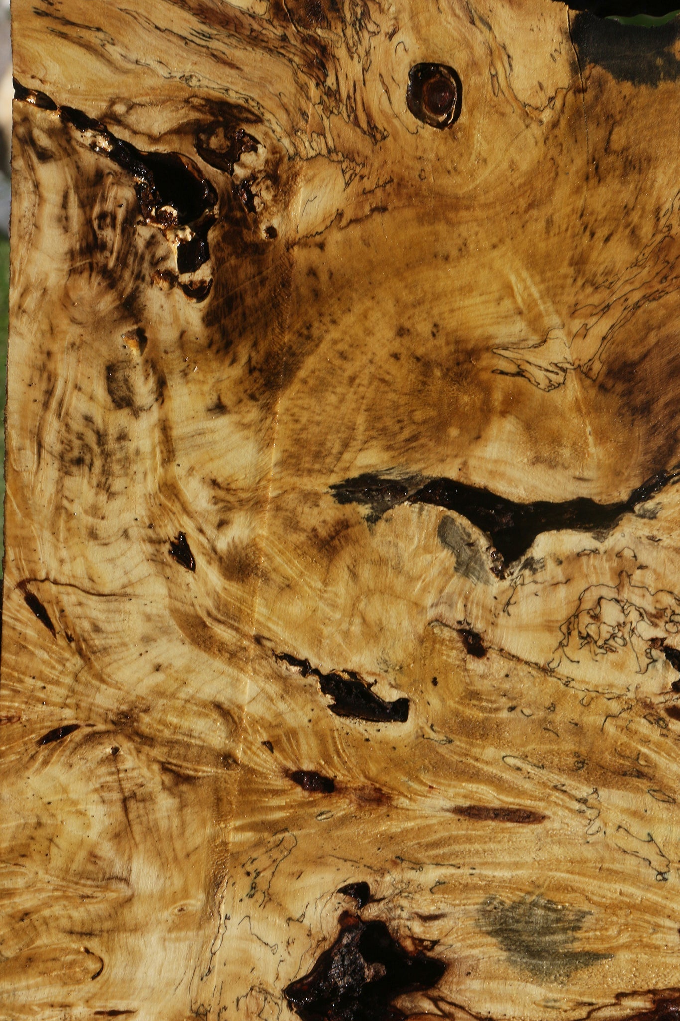 Buckeye Burl Lumber